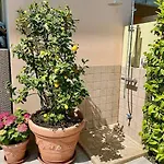 Luxury Adele Pool & Privat Whirlpool Готель *